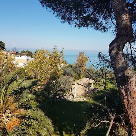 Crisci * Vasto
